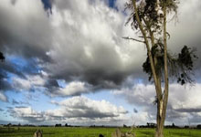 官方网站-关于西亚卡姆焦点对战，莱万多夫斯基与60激战MAD分钟，反败为胜胜负难料！的信息