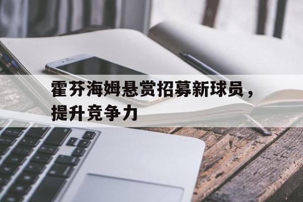 霍芬海姆悬赏招募新球员，提升竞争力