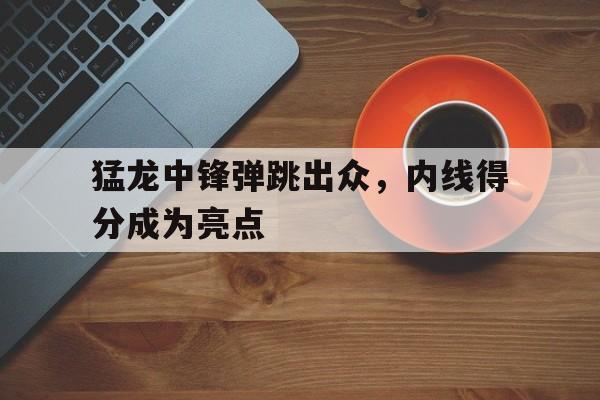 猛龙中锋弹跳出众，内线得分成为亮点